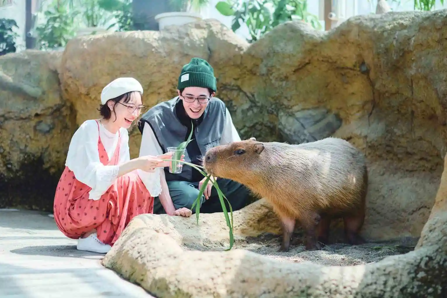 Ease comfort natural eyescloud frames5